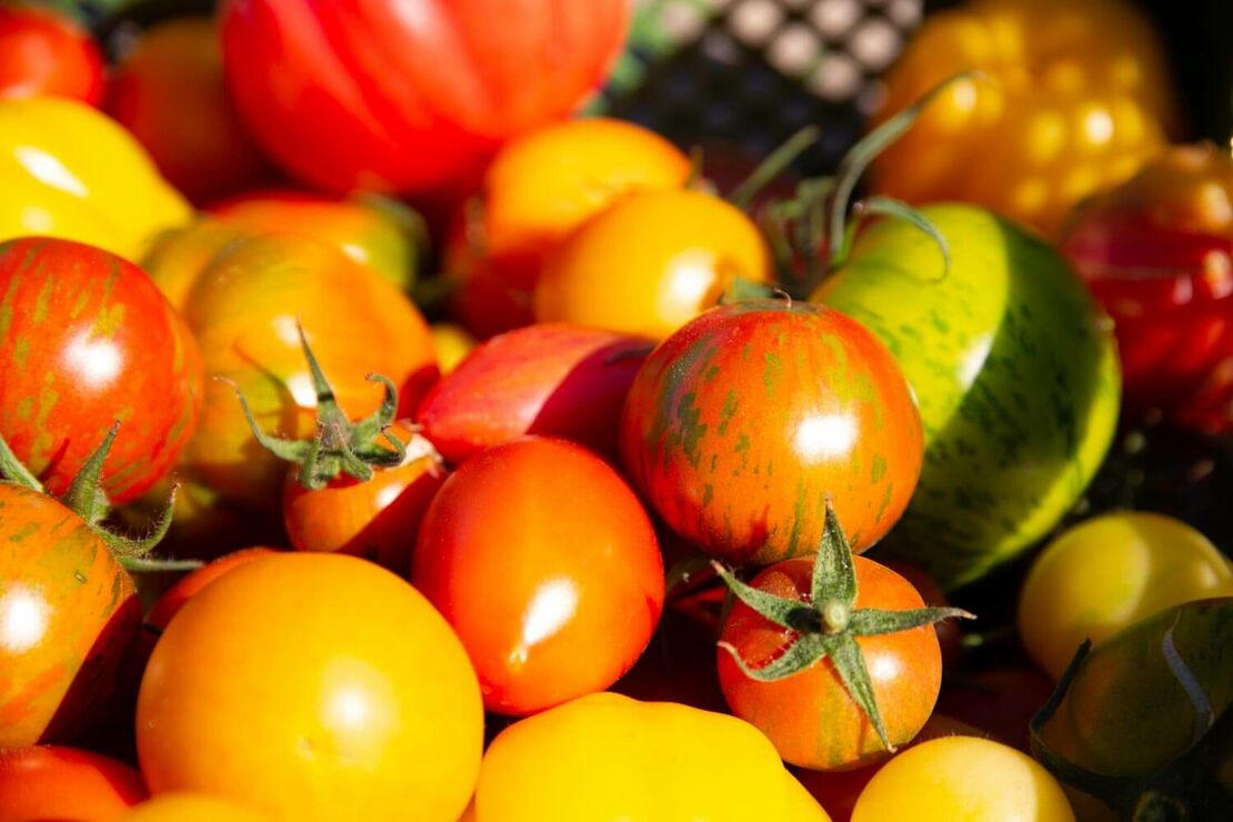 Viele frische Tomaten in unterschiedlichen Größen liegen übereinander
